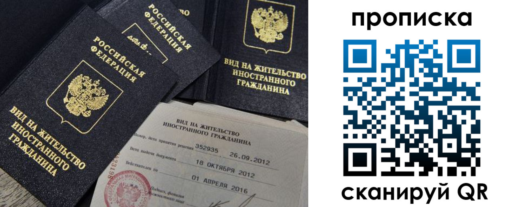 прописка в Шахунье
